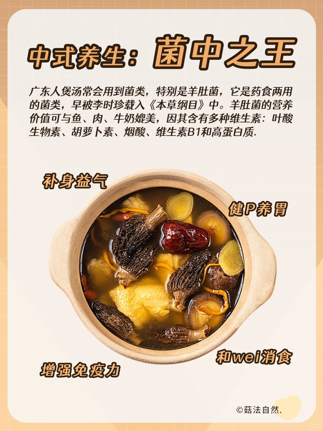 经常吃羊肚菌的下场❗️