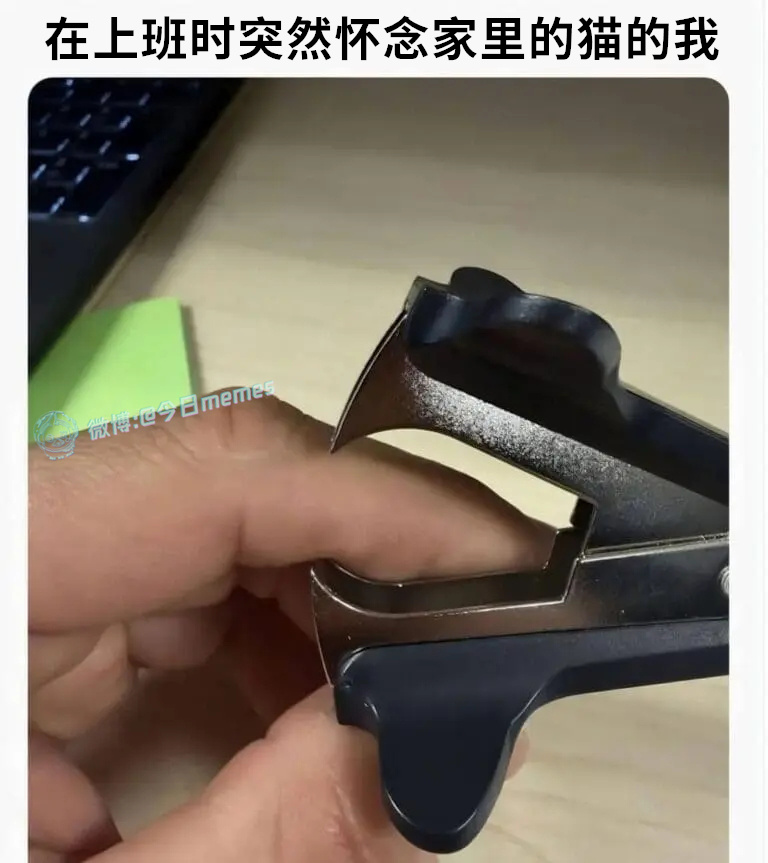 滋水滋水（9gag）今日meme 今日memes