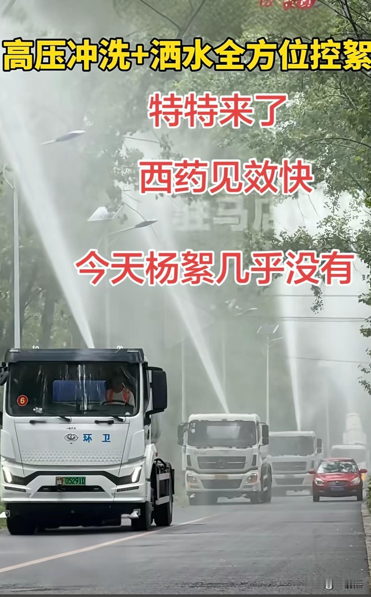 漫天飞舞的杨毛柳絮特也是完全不能治，
我说天天都能吃一嘴的白毛，昨天今天咋肉眼可