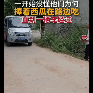 路边大爷都在吃西瓜的原因