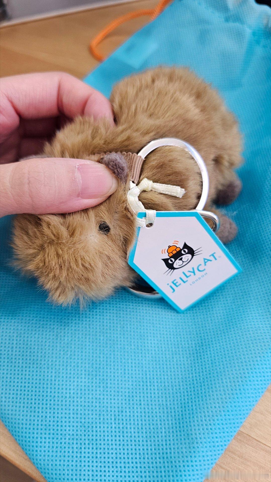 扒了半天才把豆豆眼扒出来jellycat