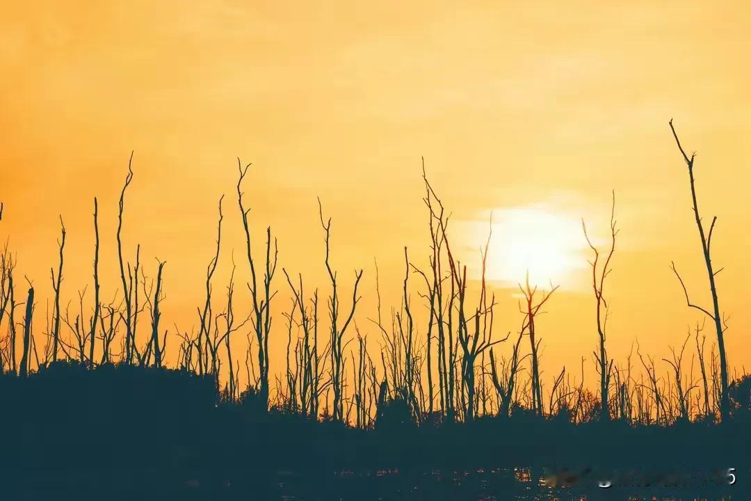 人到中年，别太在意孩子，更不要企图依赖和把孩子攥紧。

为人父母，年轻时总把孩子