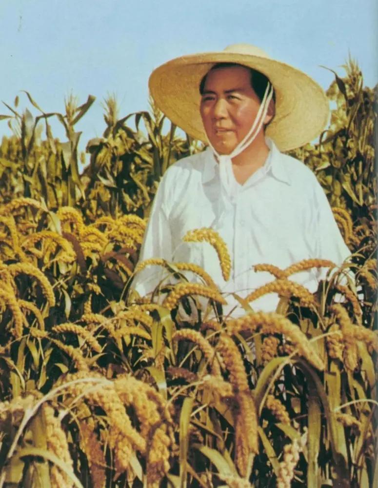 1973年，毛主席说：“不要说我是天才，我是地才，地就是土地，没有人民，我什么事