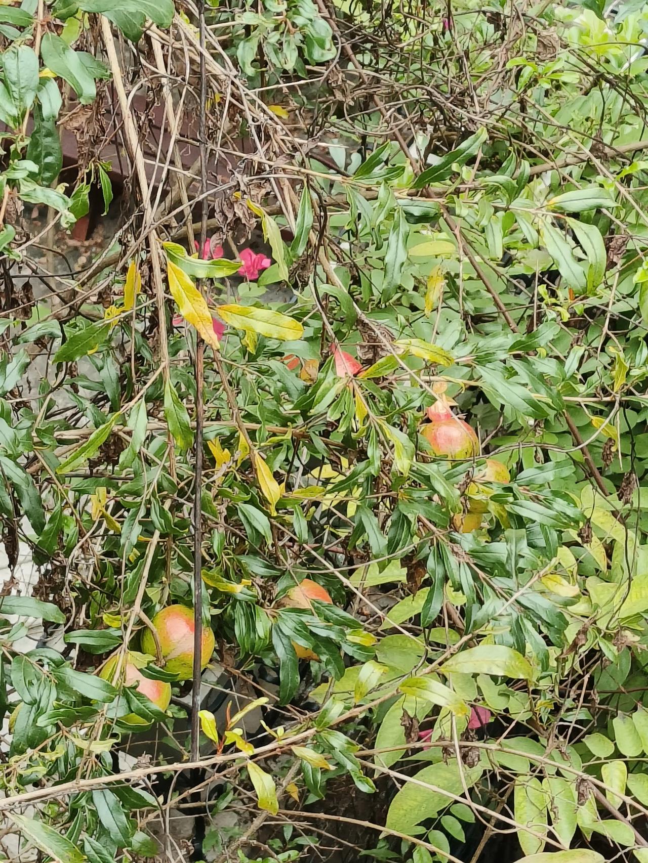 今天盘面医药类板块大涨，之前我一直强调的这个板块，那就恭喜看到过我分析的同学，这