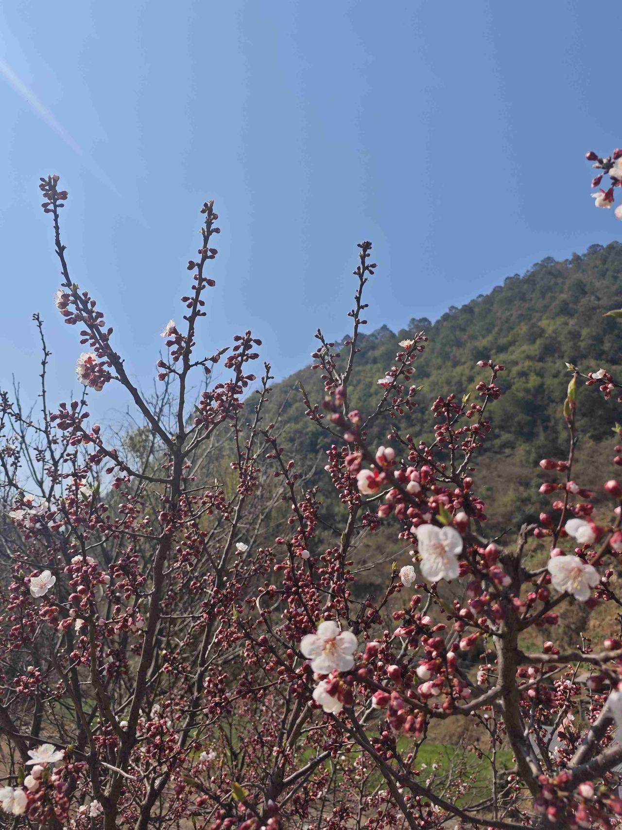 我的今日状态：💰期待暴富
我这里的天气：☀️晴天