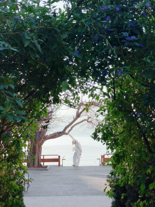 住进谢柯的侘寂诗，等海鸥吻过书页