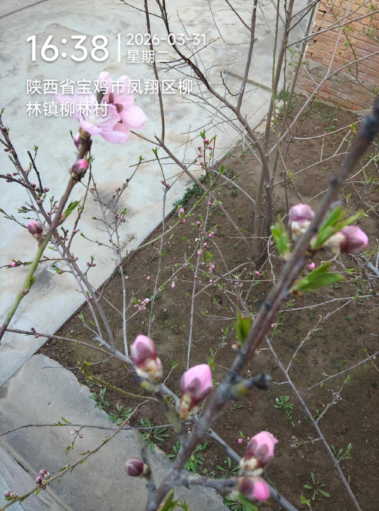 用镜头捕捉春天