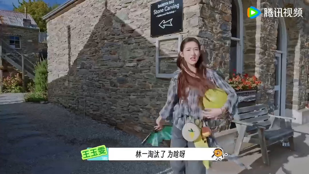 王玉雯问林一你是笨蛋吗王玉雯疑惑林一转行林一临场反应灵活，用转行跳舞的玩笑躲开对