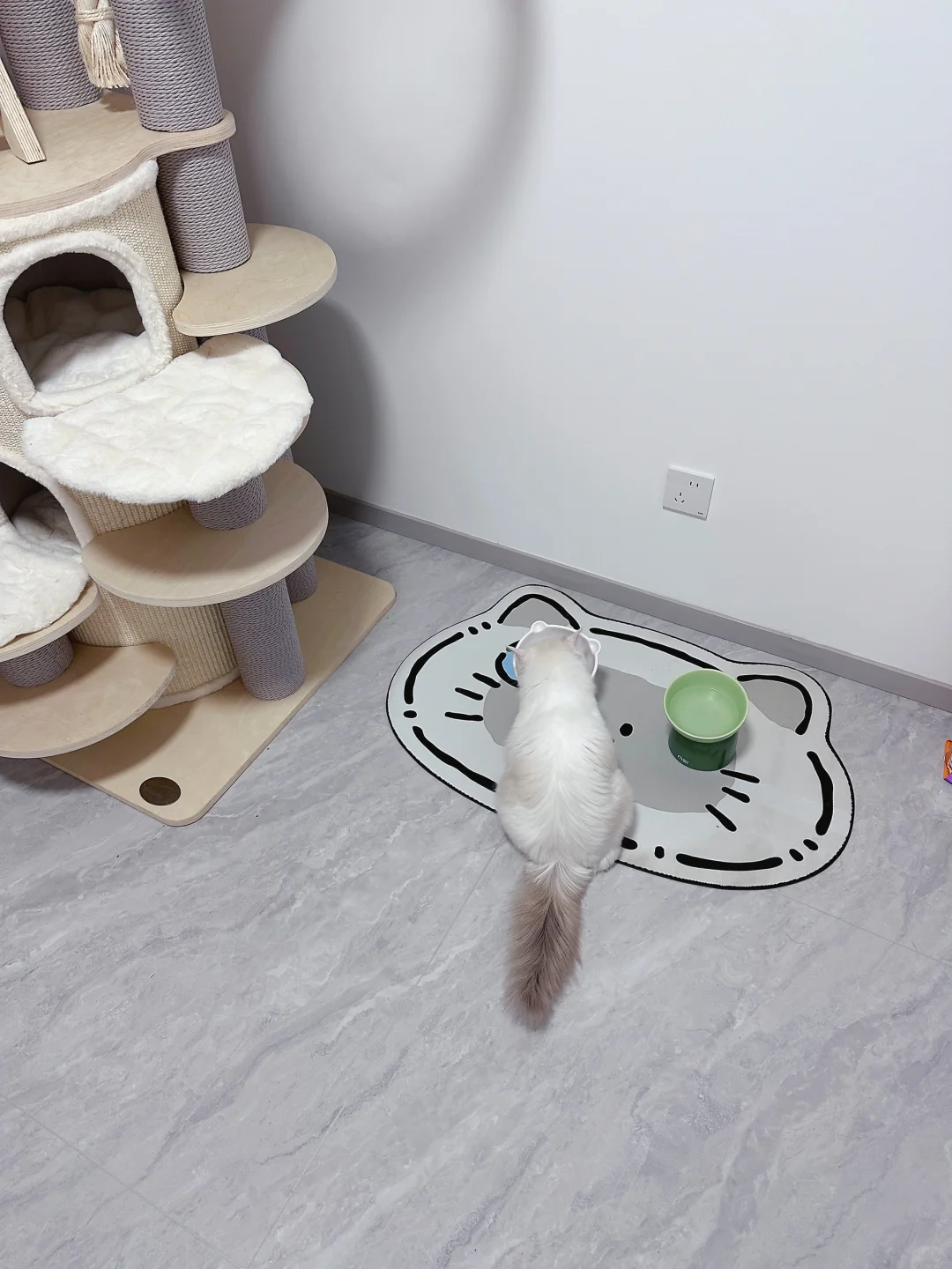 大家猫屋都摆了什么！