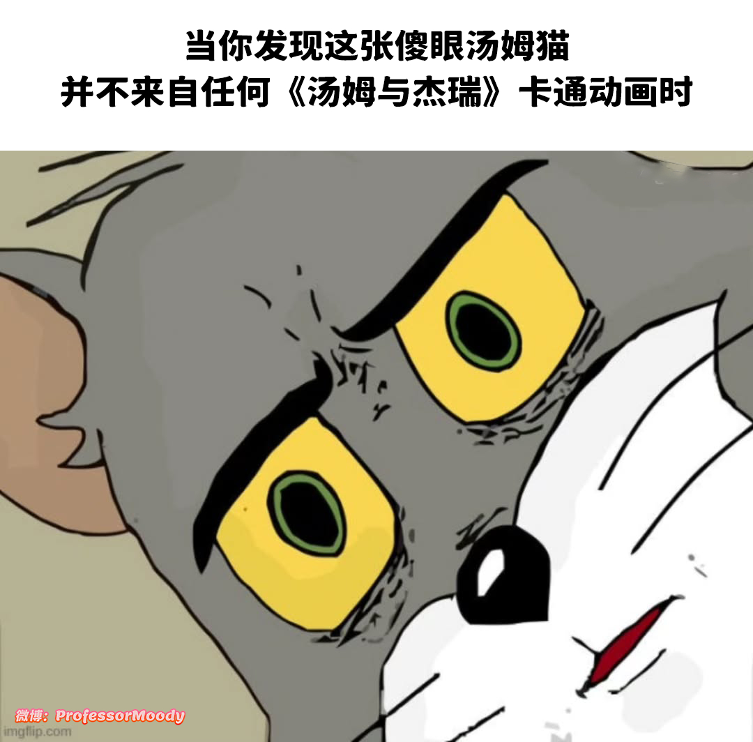 冷知识💡meme ​​​