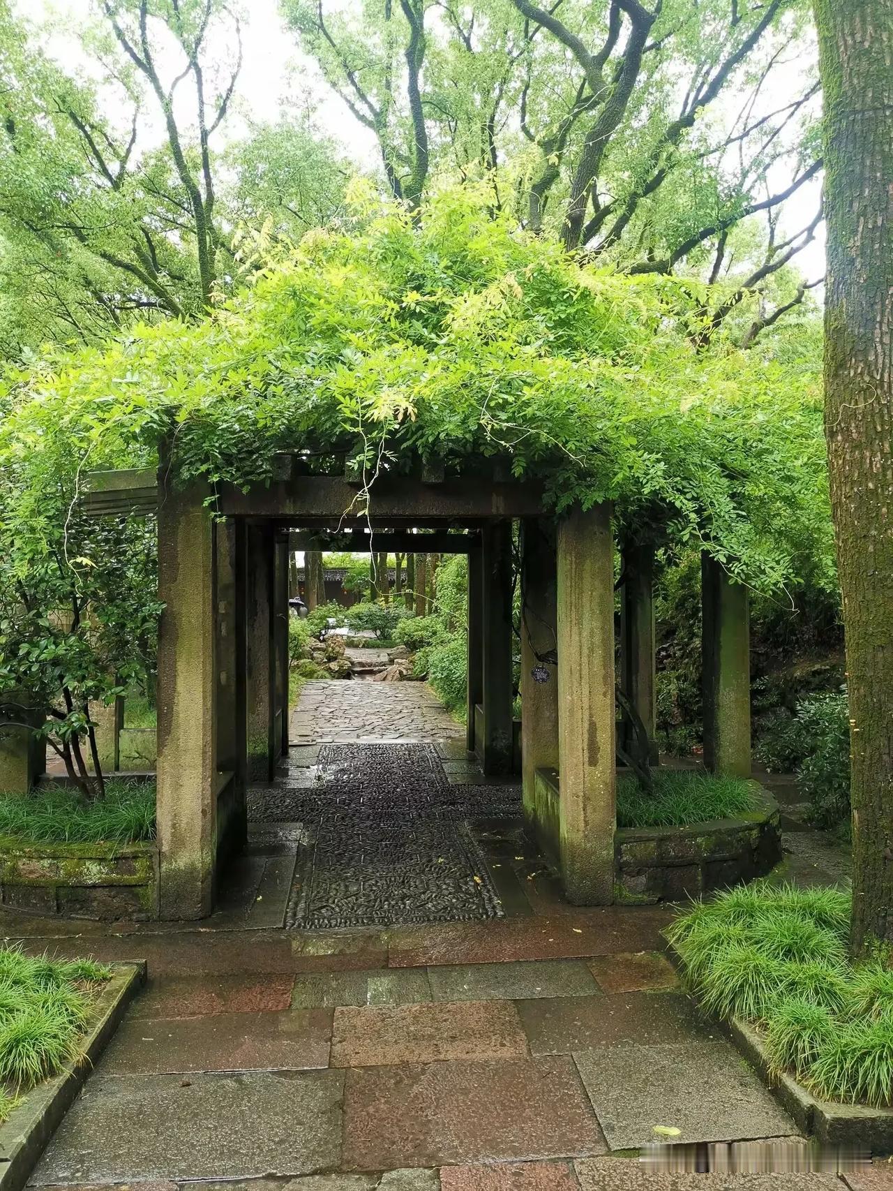绿色通道