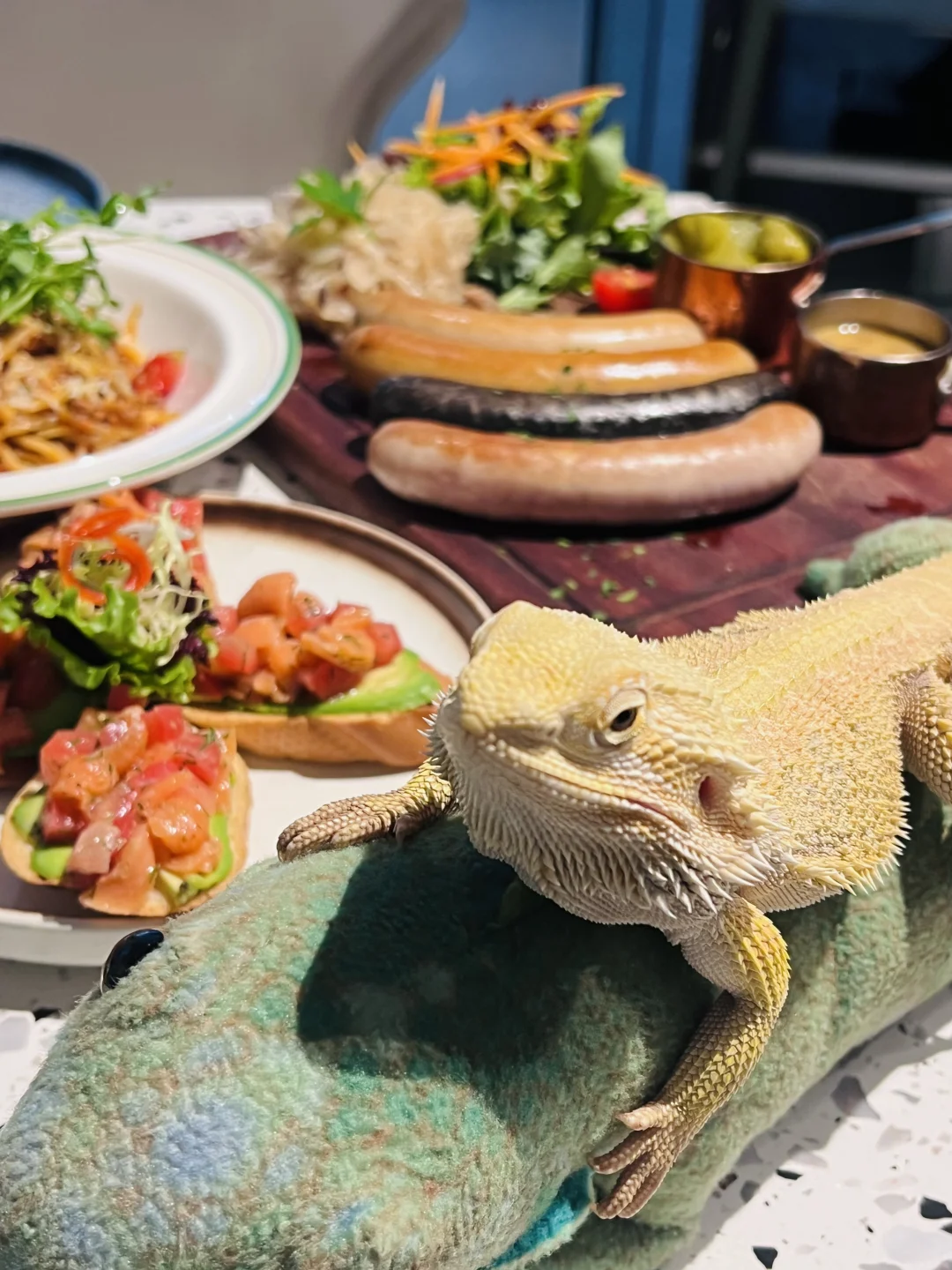 打卡北京蓝港爬宠主题餐厅🦎和蜥蜴共进午餐