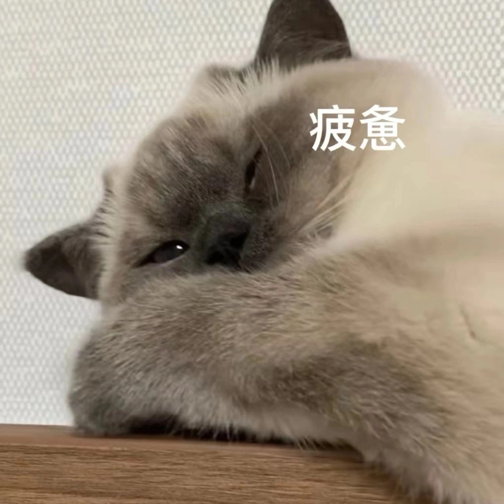 吉隆口岸大楼现状 看完心里好难受 ​​​