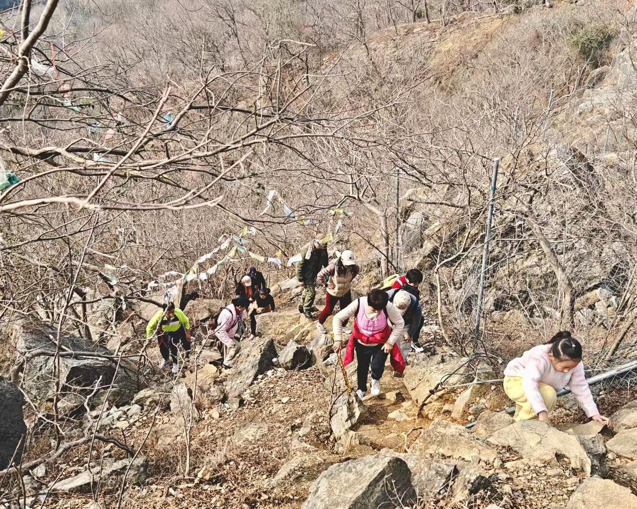 枯树枝在风里晃成沉默的旗帜，人们踩着碎石向上，每一步都把“山野的召唤”，烙进了大