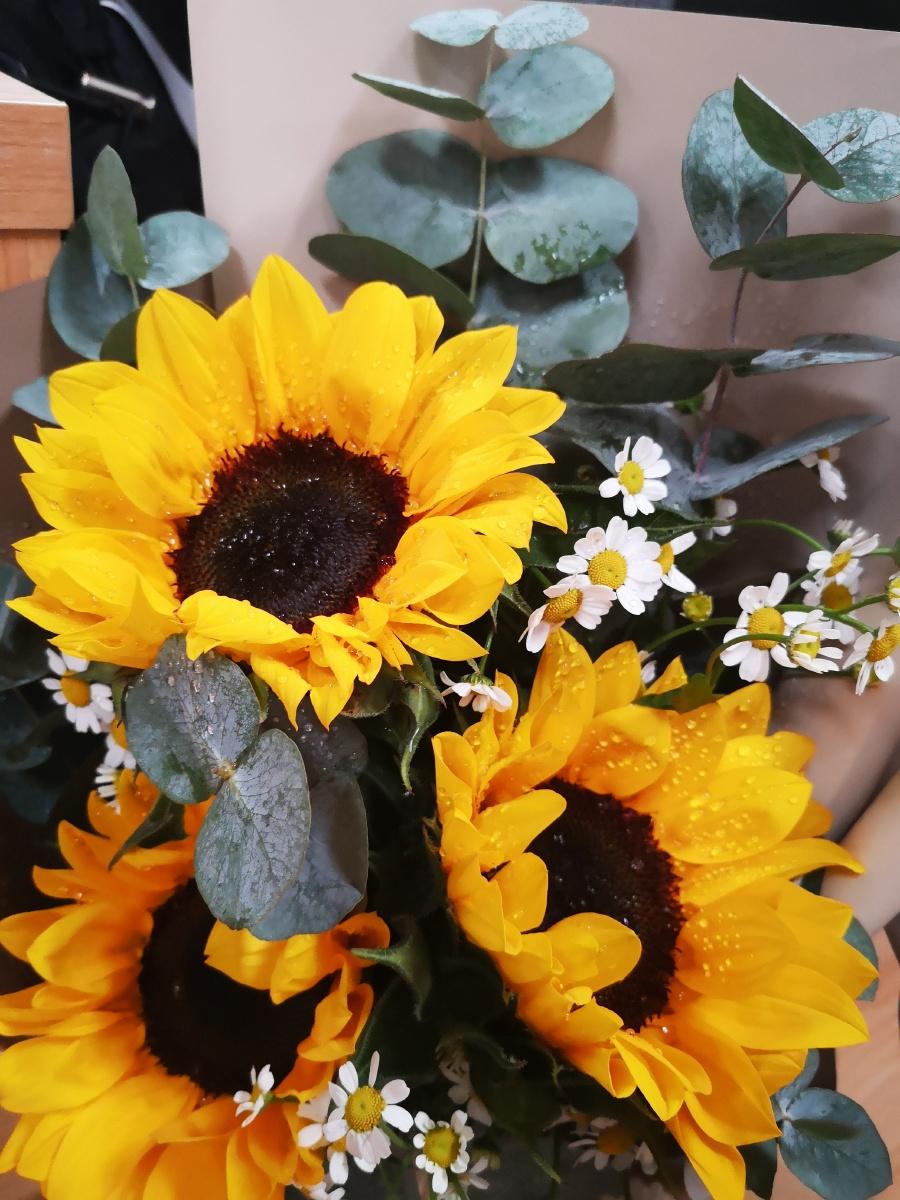 说到底，挣钱是为了好好生活，懂人性是为了安稳生活，爱身体是为了长久生活。