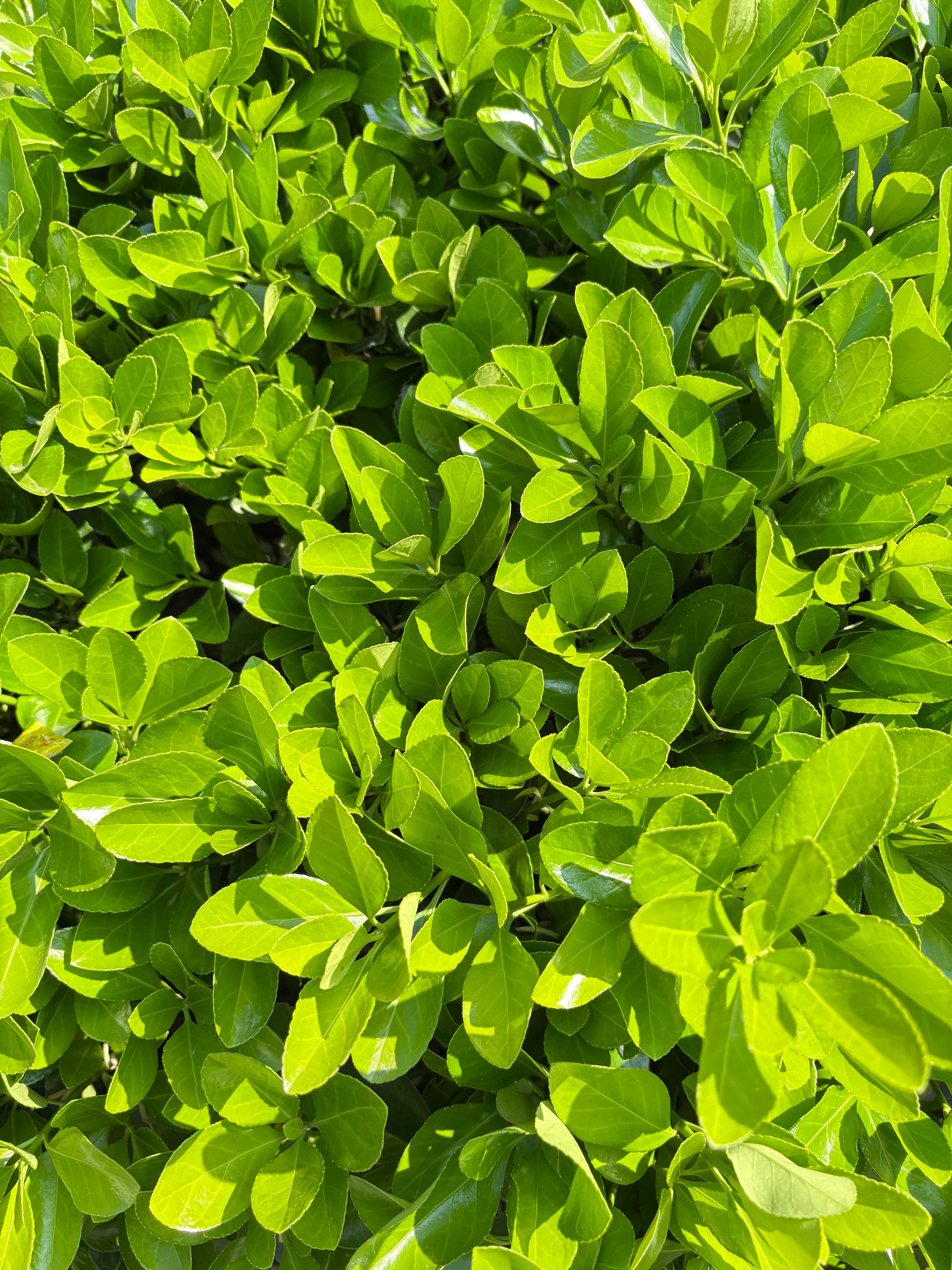 晒太阳感受活着 