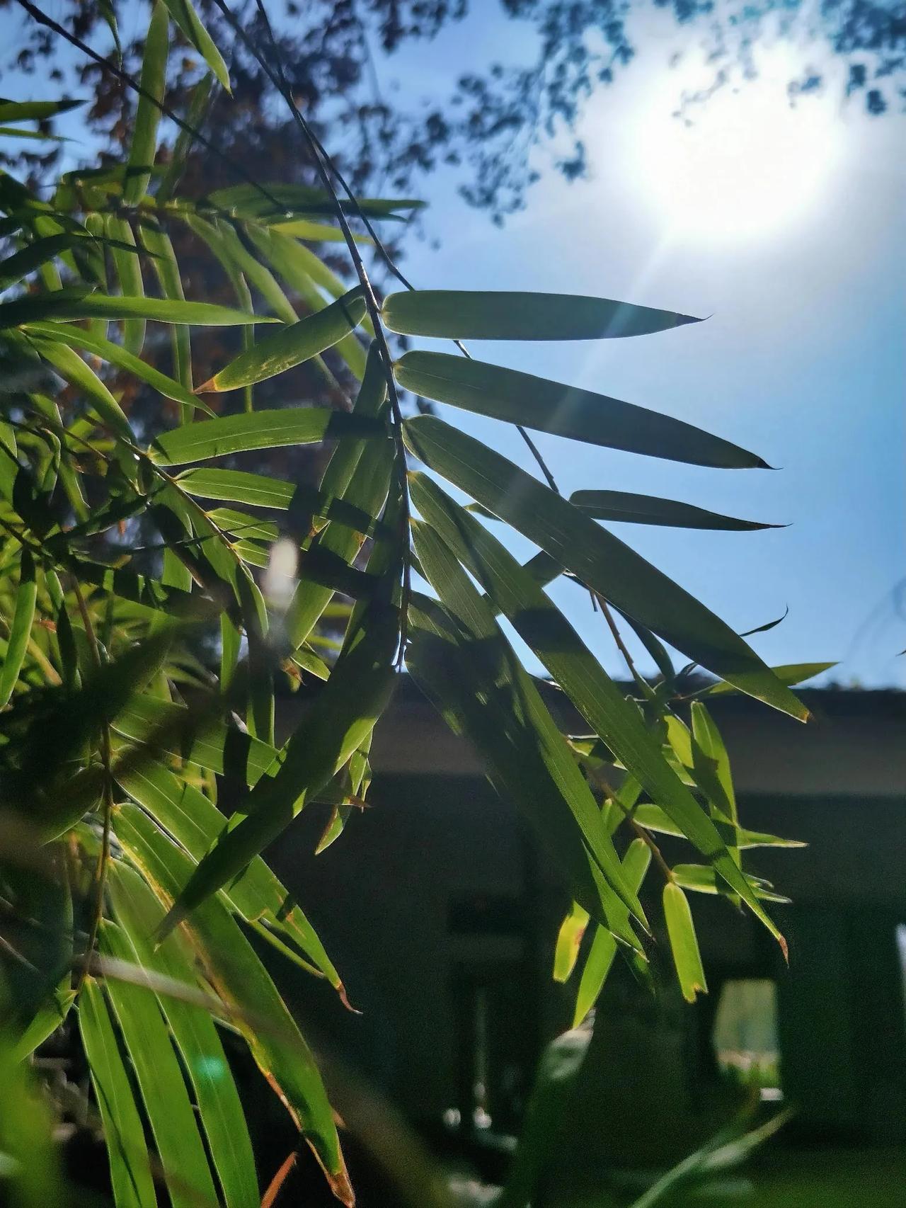 突然有个不成熟的想法，在头条上男性创作者比女性创作者赚钱要多。

第一，据观察，