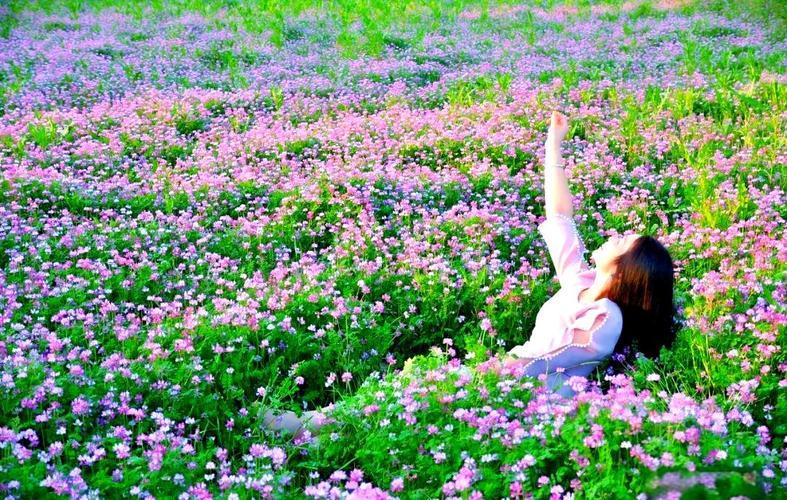 《又见草籽花开》
 
少时相逢
老来重逢
又见草籽花开
 
细碎如星
不与映山红