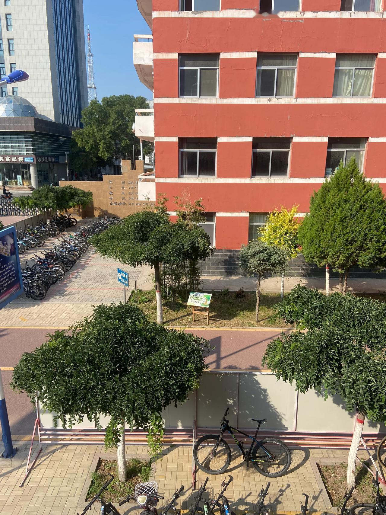 爱美，爱气节的老师，随处可见。不知道他们是谁，但我们能真切的感受到他们的能量。