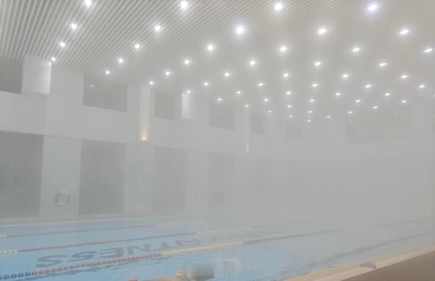 论冬天的泳池和澡堂区别