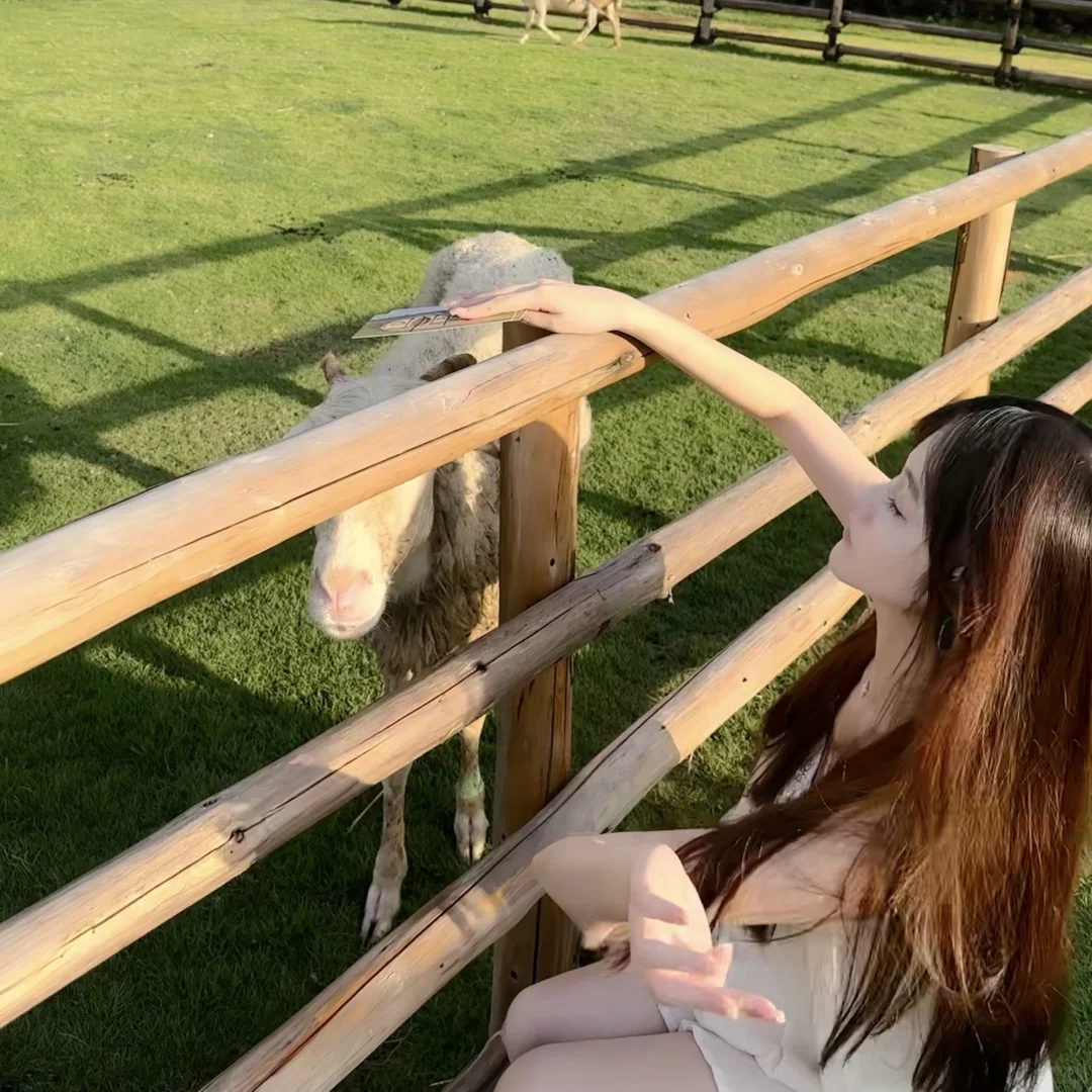 夏天日记