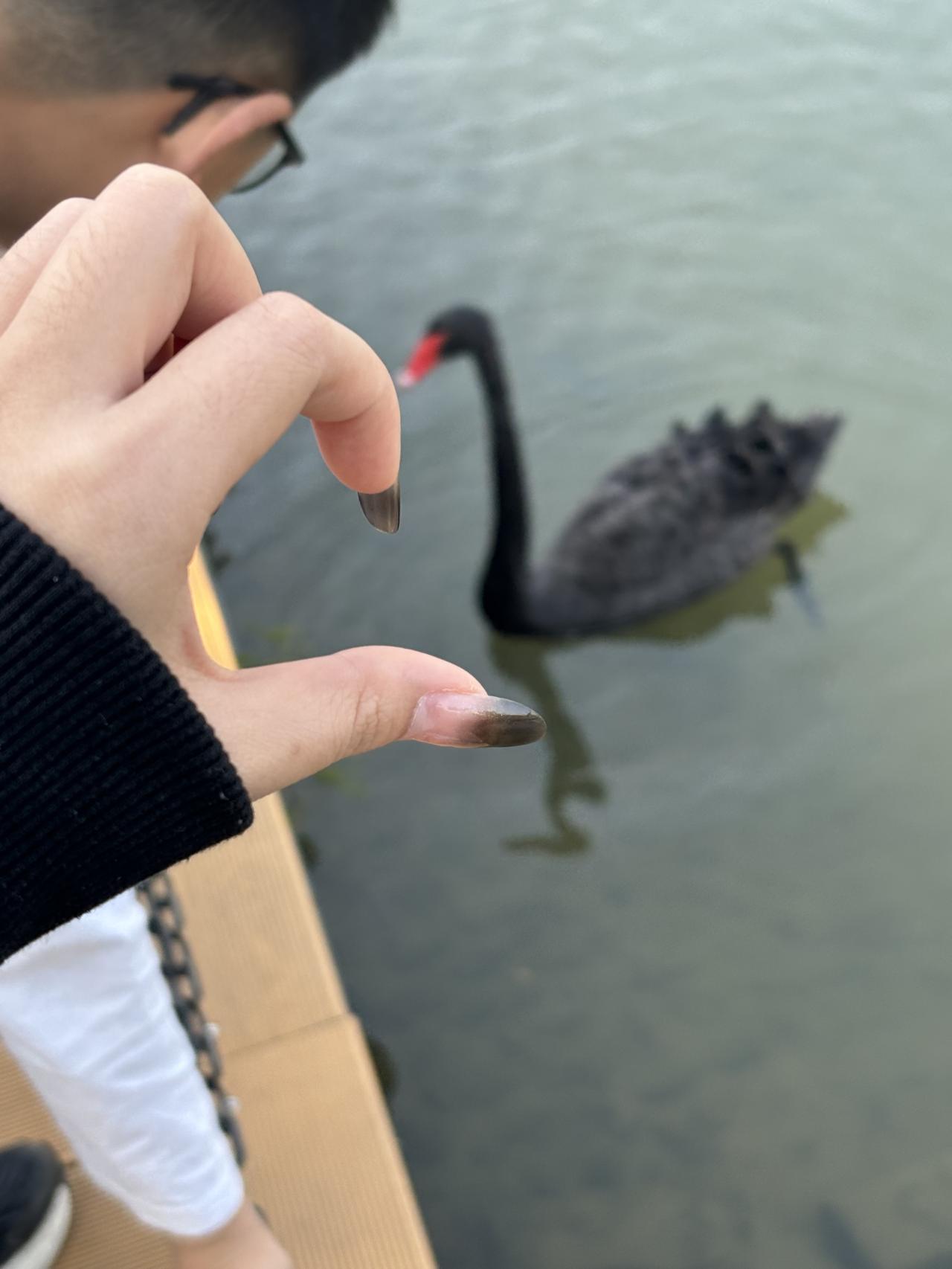 你能接受孩子和宠物一起长大吗?我能接受啊，我也想宠物，养金毛犬，取名梅东，因为张