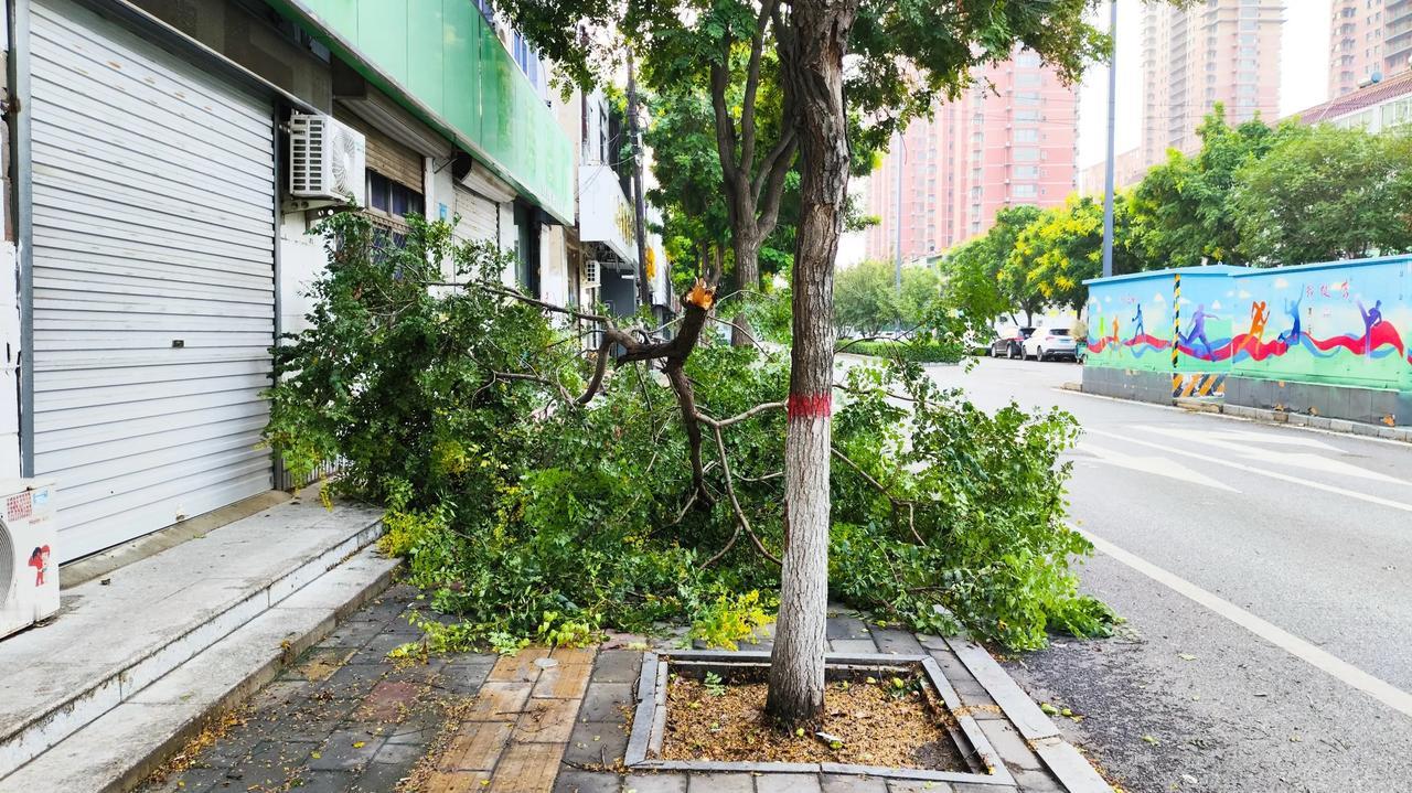 昨天刮了一阵风，下了一阵雨，这就是证据……

昨天晚上正在厨房做饭，突然外面刮起