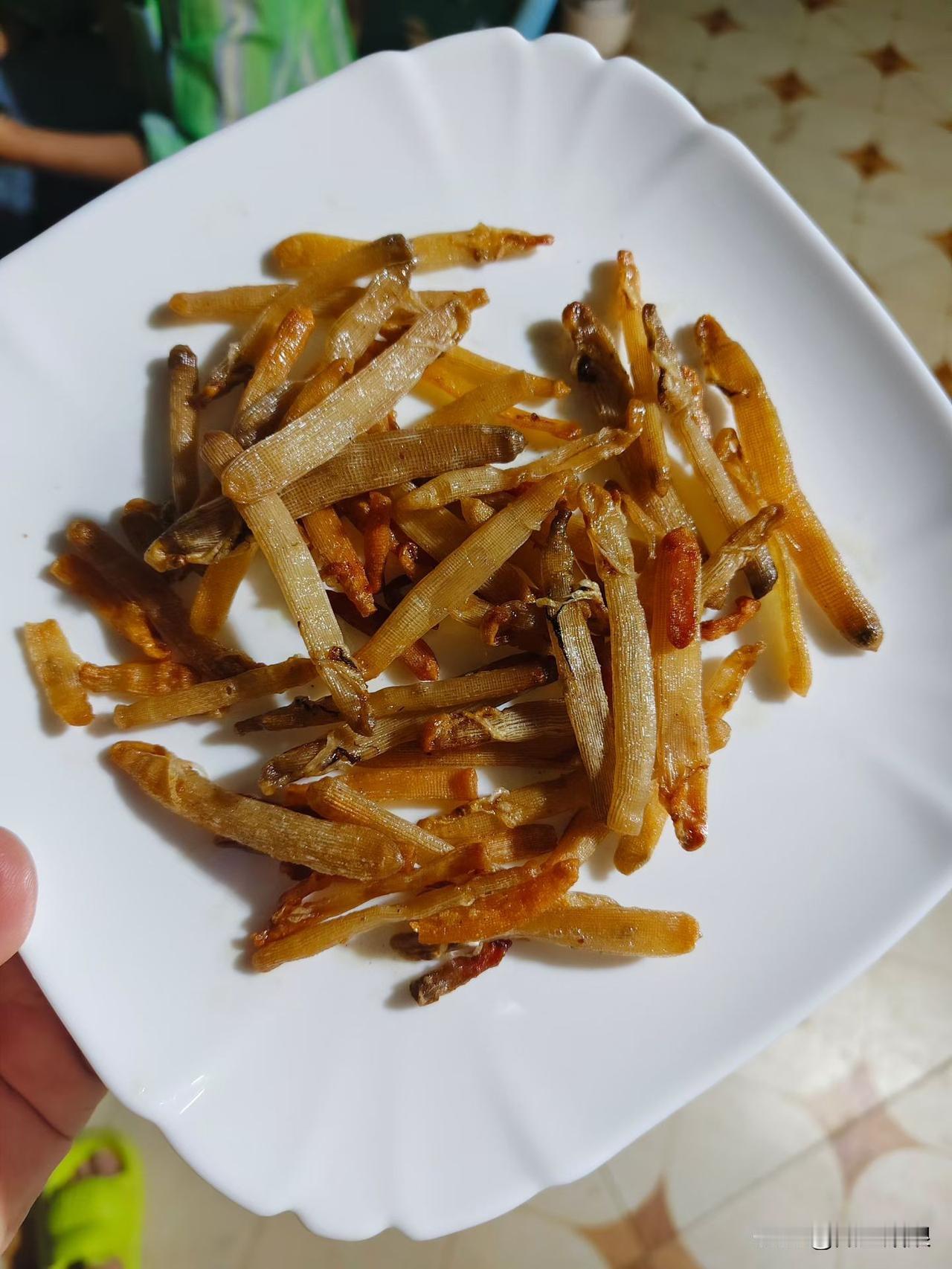 2026年，我对沙虫真是爱到不行！在钦州几年，就被这其貌不扬的家伙征服了。沙虫只