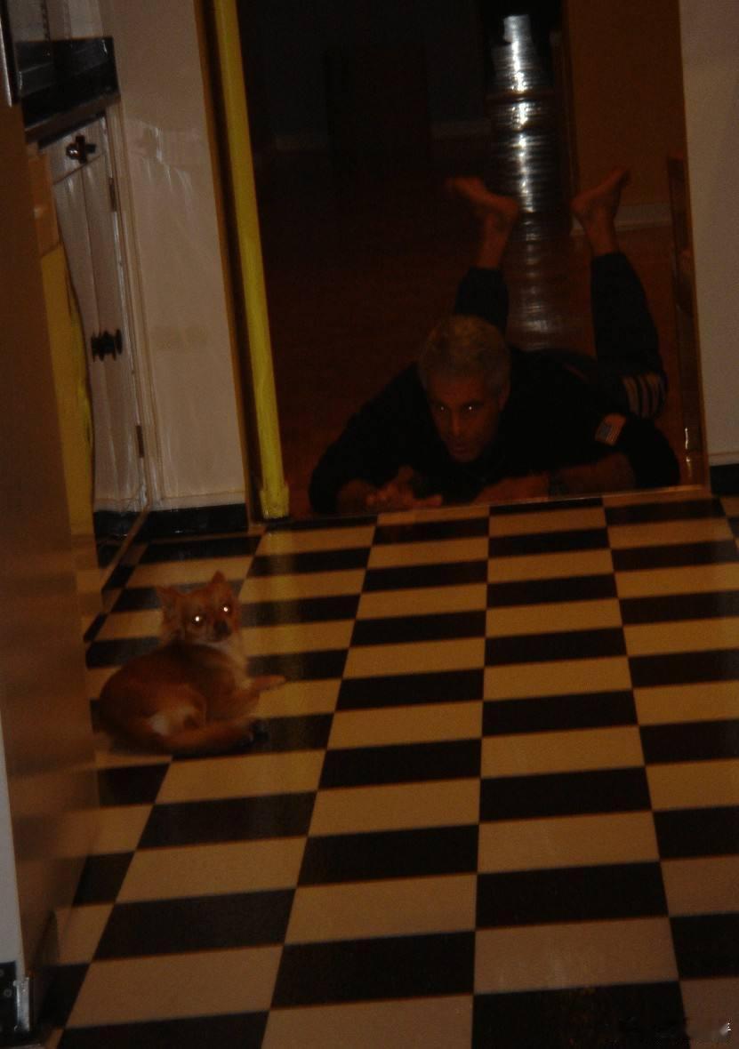 美司法部开始公布爱泼斯坦案文件杰弗里·爱泼斯坦躺在地板上，低头盯着一只狗。这帮人