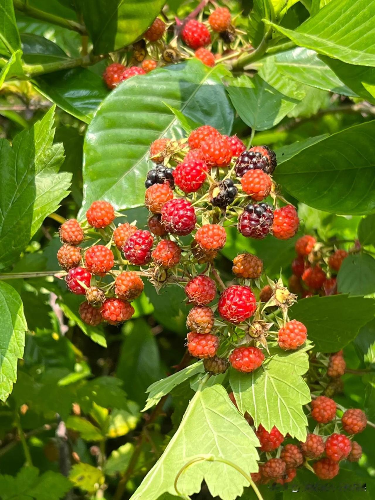 小区里停的车经常会被贴黄色小广告，相信不少车主都遇到过，可今天一业主在业主群里说