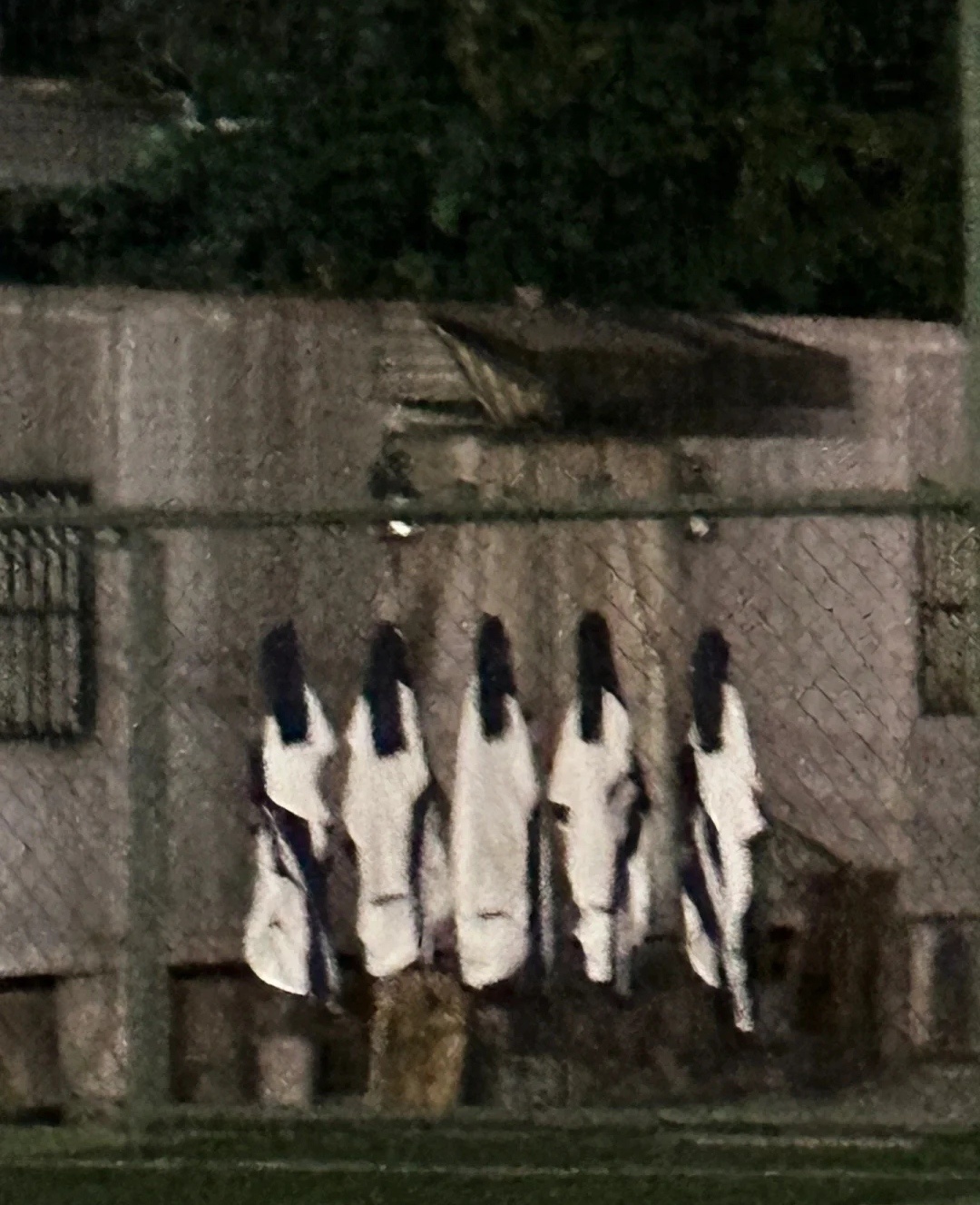 看见操场挂的校服，吓得发出尖锐爆鸣声[裂开] ​​​