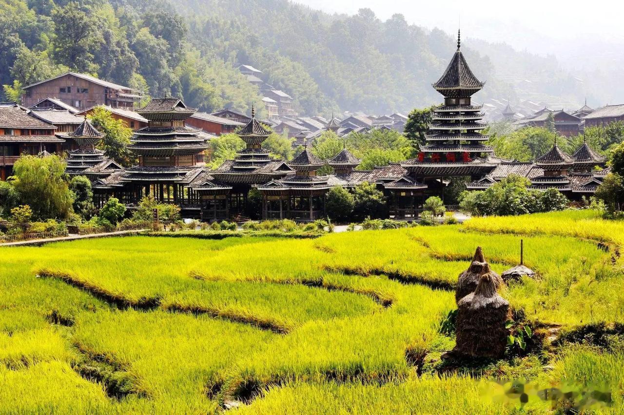 #大地之旅贵州黔东南#
《大地之旅》让我看到了中国各地的美丽与丰富。在这档节目中