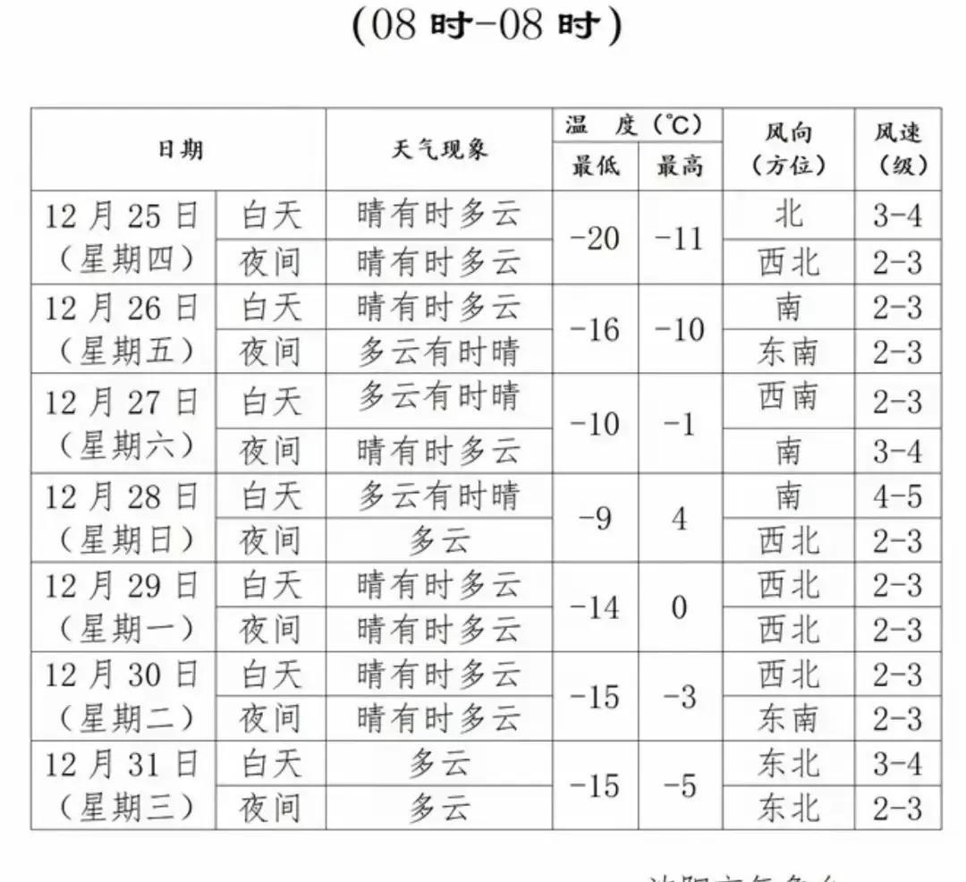 沈阳圣诞周气温像坐过山车，白天零下十五度，夜里跌到零下二十二度，风刮得脸生疼。