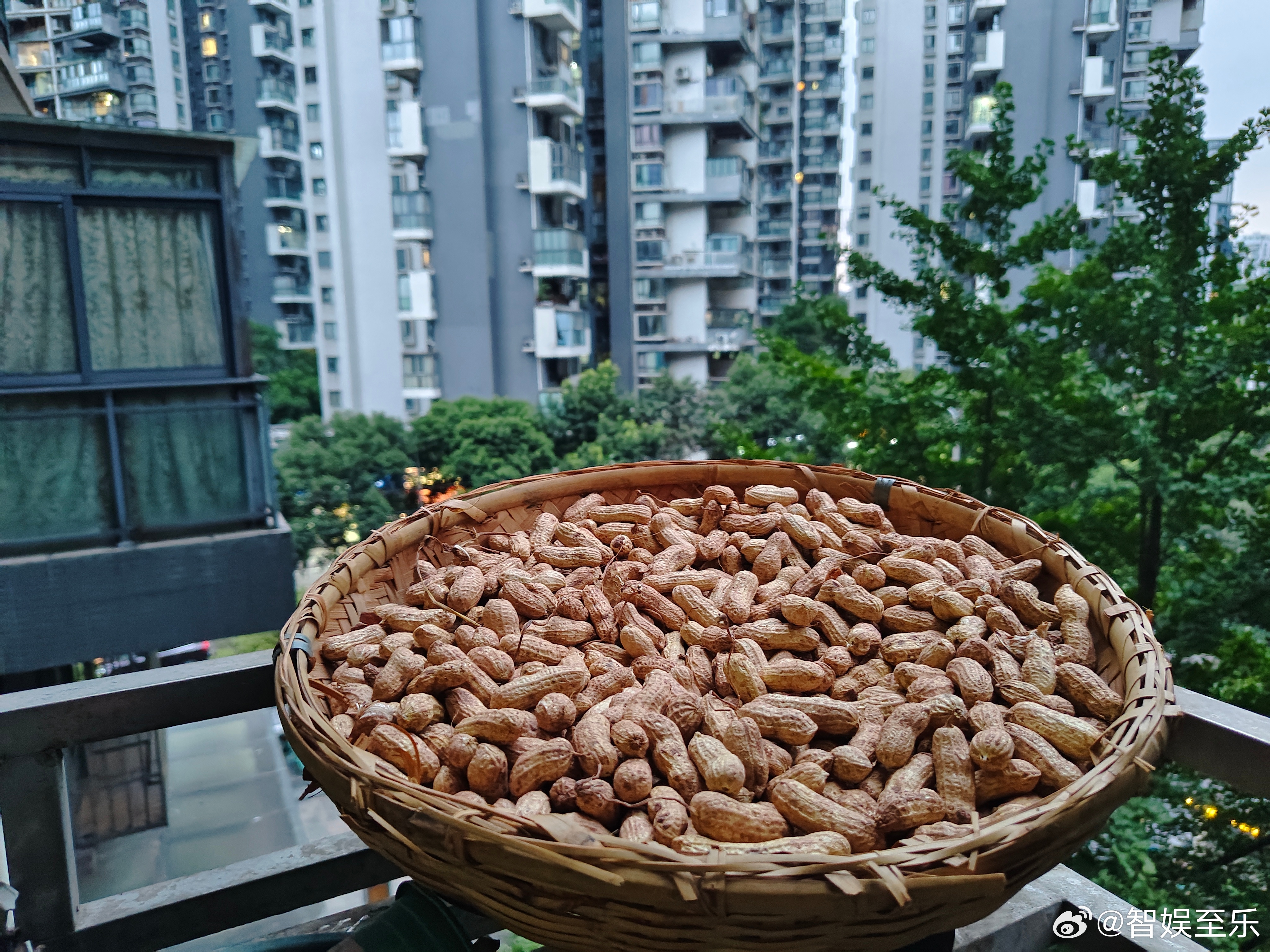 风来雨未到，已收到红霞的预报，今晚必须酣畅淋漓，空气中仿佛有了泥土的味道！刚捡到