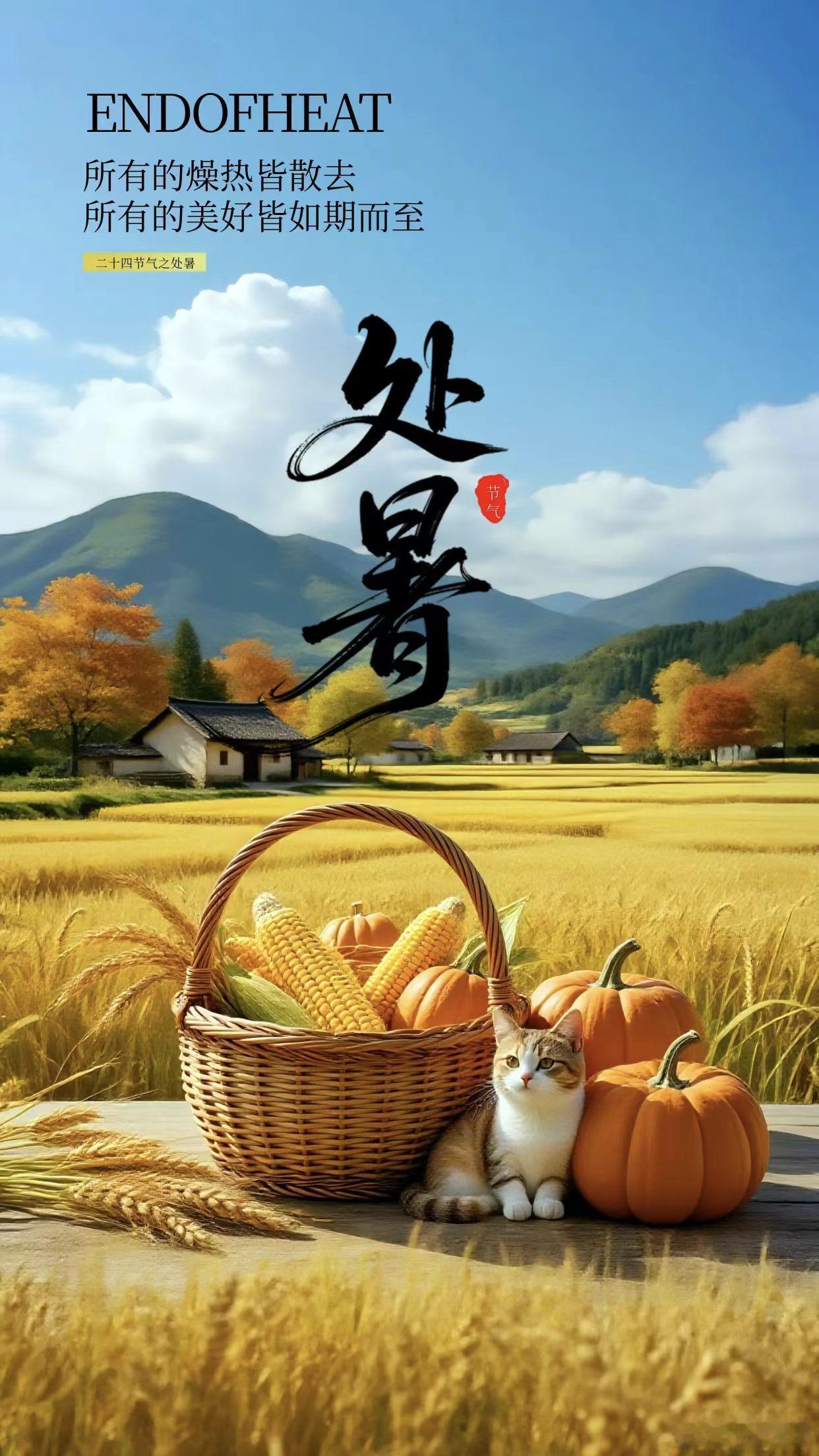 宽窄思语今日处暑 维岁在甲辰，节逢处暑。此时金气始肃，玉露将凝。 虽名“处暑”，