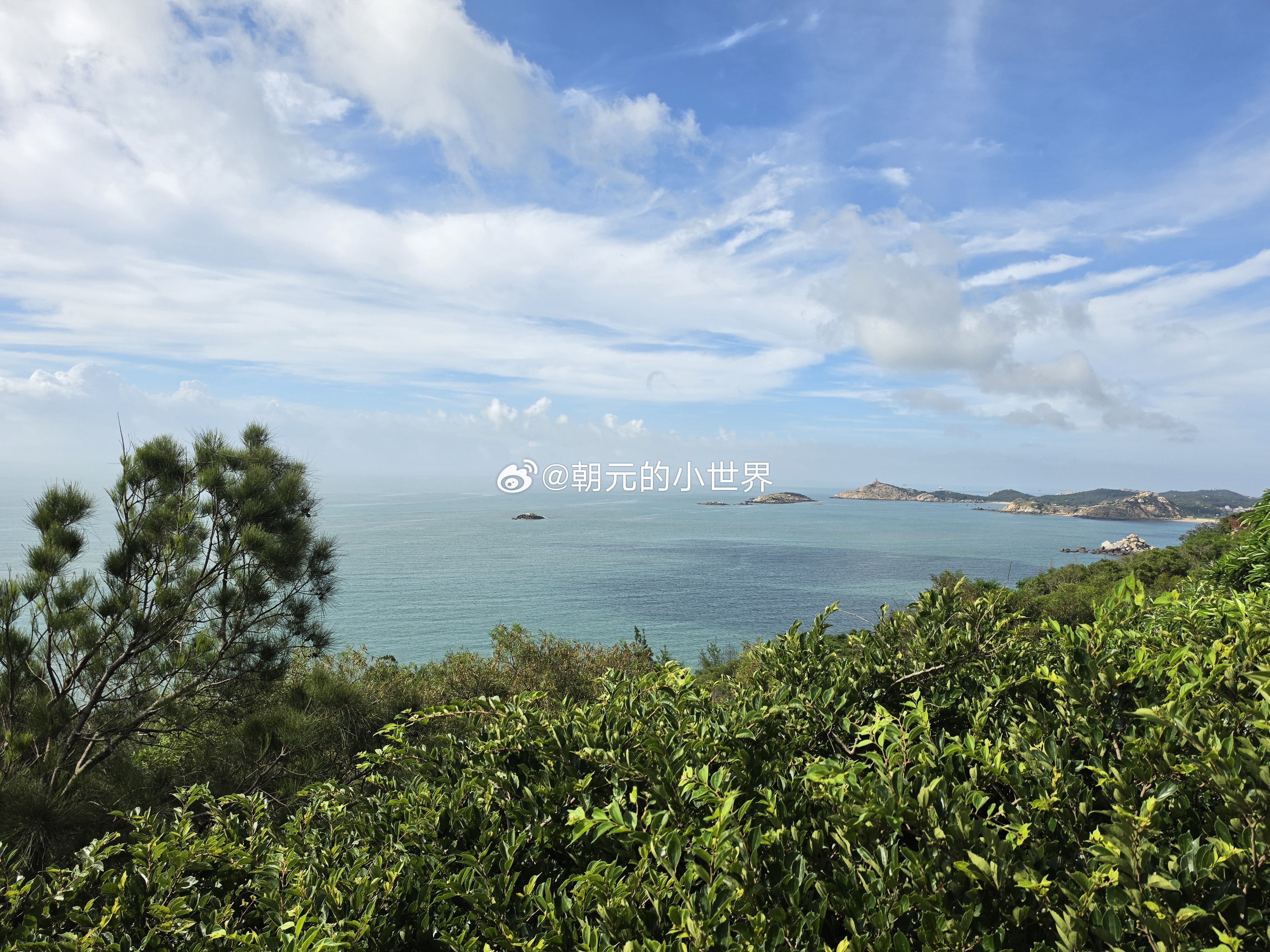 直心是道场，分人，接得住，就是道场。婉转是慈悲，分人，辨的清，就是正念。 