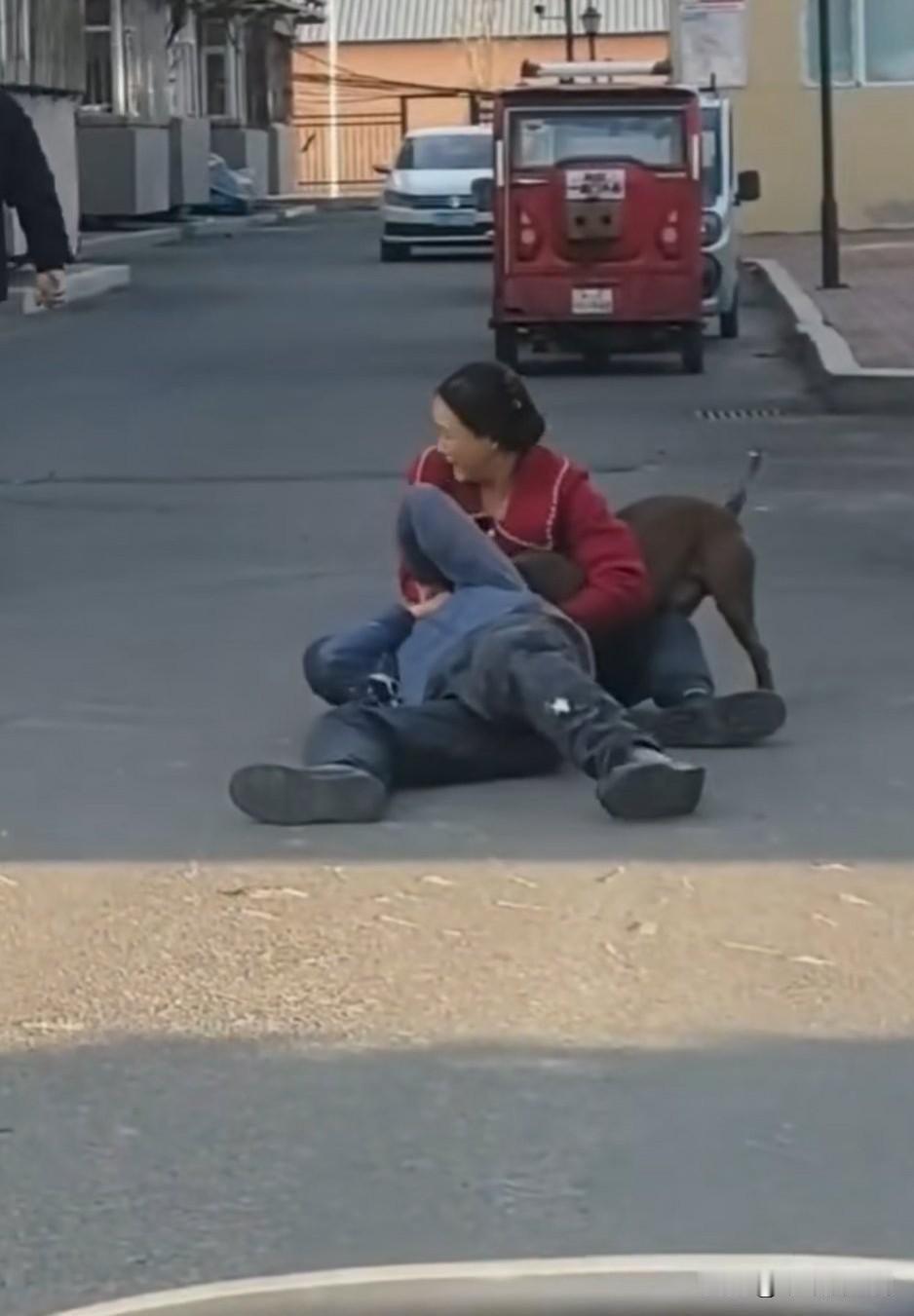 某地，一位女主人的大犬死死地咬住一位老人不松口，女主人发现后好不容易拽开了狗，老