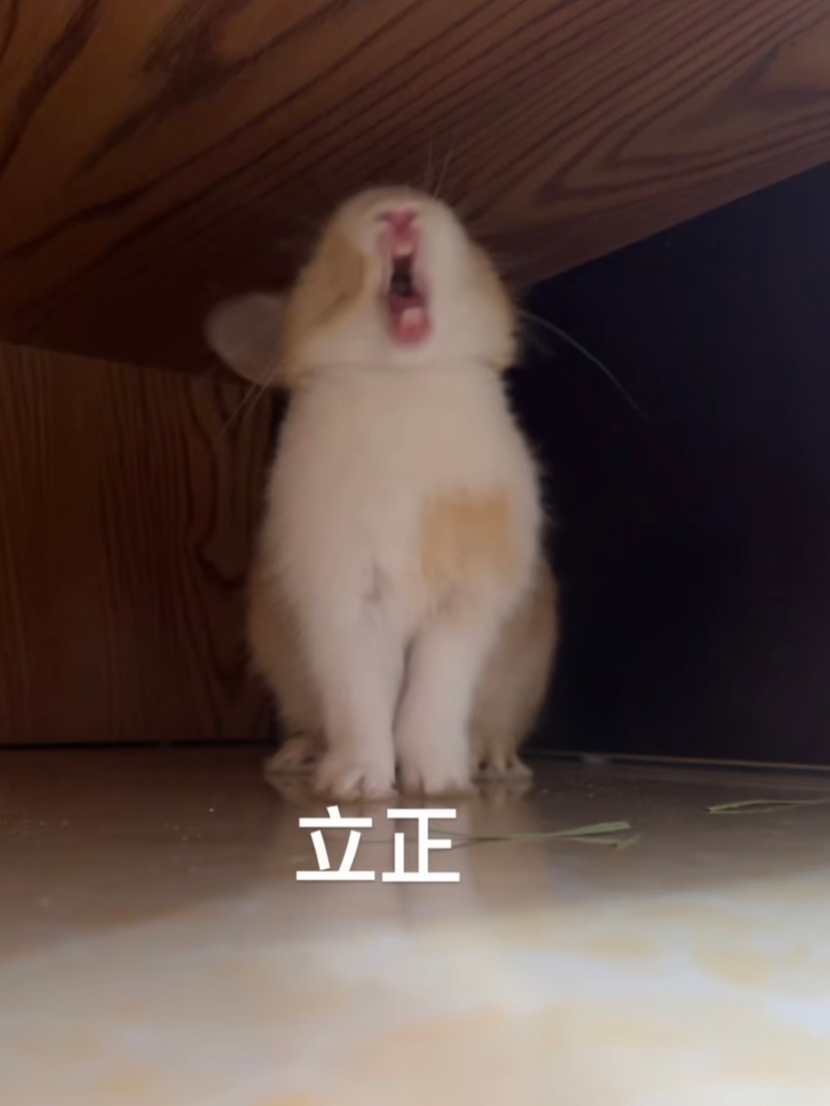 贺卡99 ​​​