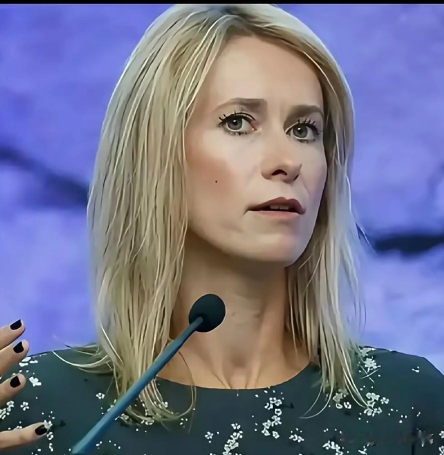 欧盟比冯德莱恩更蠢的女人出现了
      欧盟 欧盟外交与安全政策高级代表卡娅