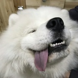 暖帆帆爱聚科技
