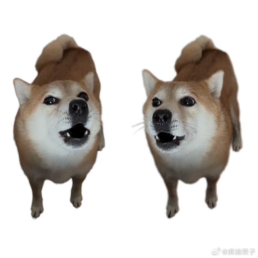 本善人格启动 