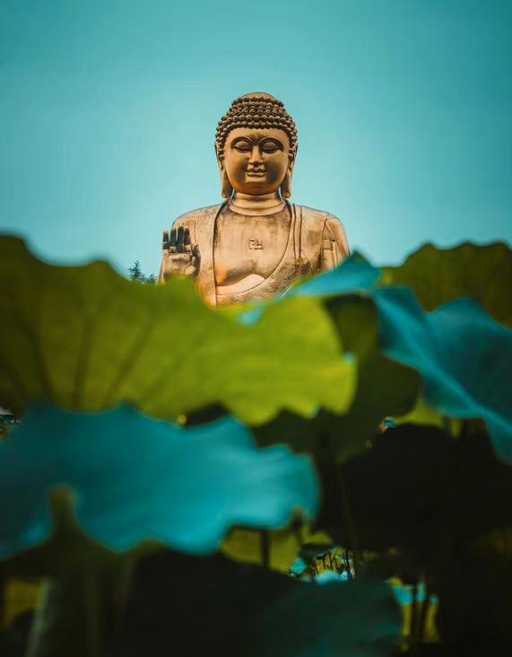今天，你会实现你的一个愿望，点赞等你还愿！​​​​