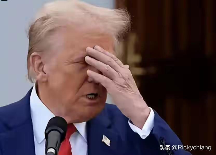 美军伤亡超五百人！！！

这下子特朗普掩盖不住了。特朗普一直想赢怕输想靠斩首快速