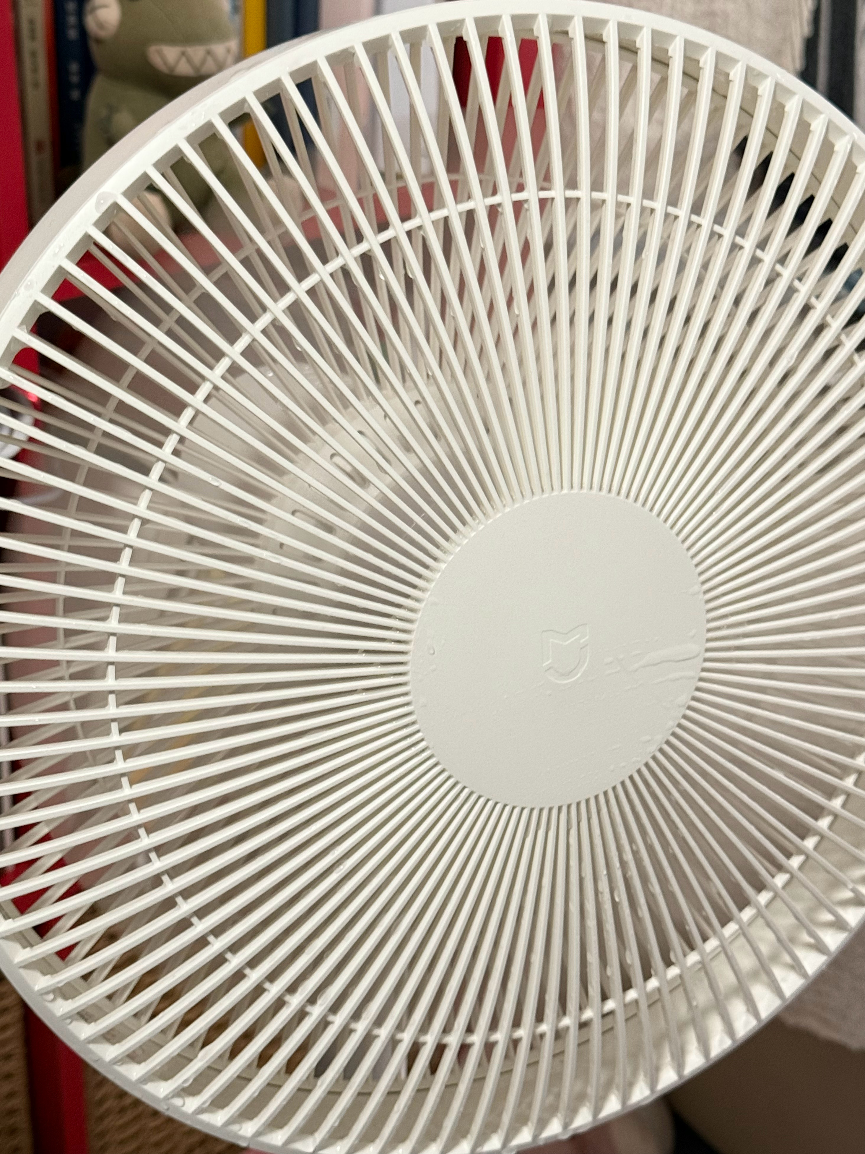 人一旦勤快起来连自己都害怕早饭还没吃，先把电风扇洗了偶尔执行力很强 