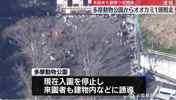 【#东京一动物园逃了一只狼#】据多家日媒28日报道，日本东京多摩动物公园宣布，园