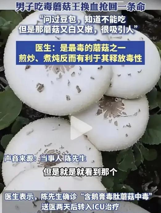 AI都拦不住吃货的"作死"操作！

你说现在科技发达了吧？AI都能告诉你"这是毒