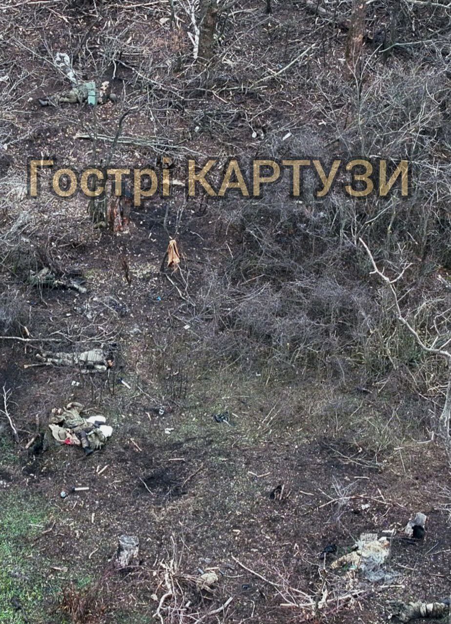 这是乌克兰“浴血黑帮”霍斯特里·卡图齐部队（Hostri Kartuzy）的一组