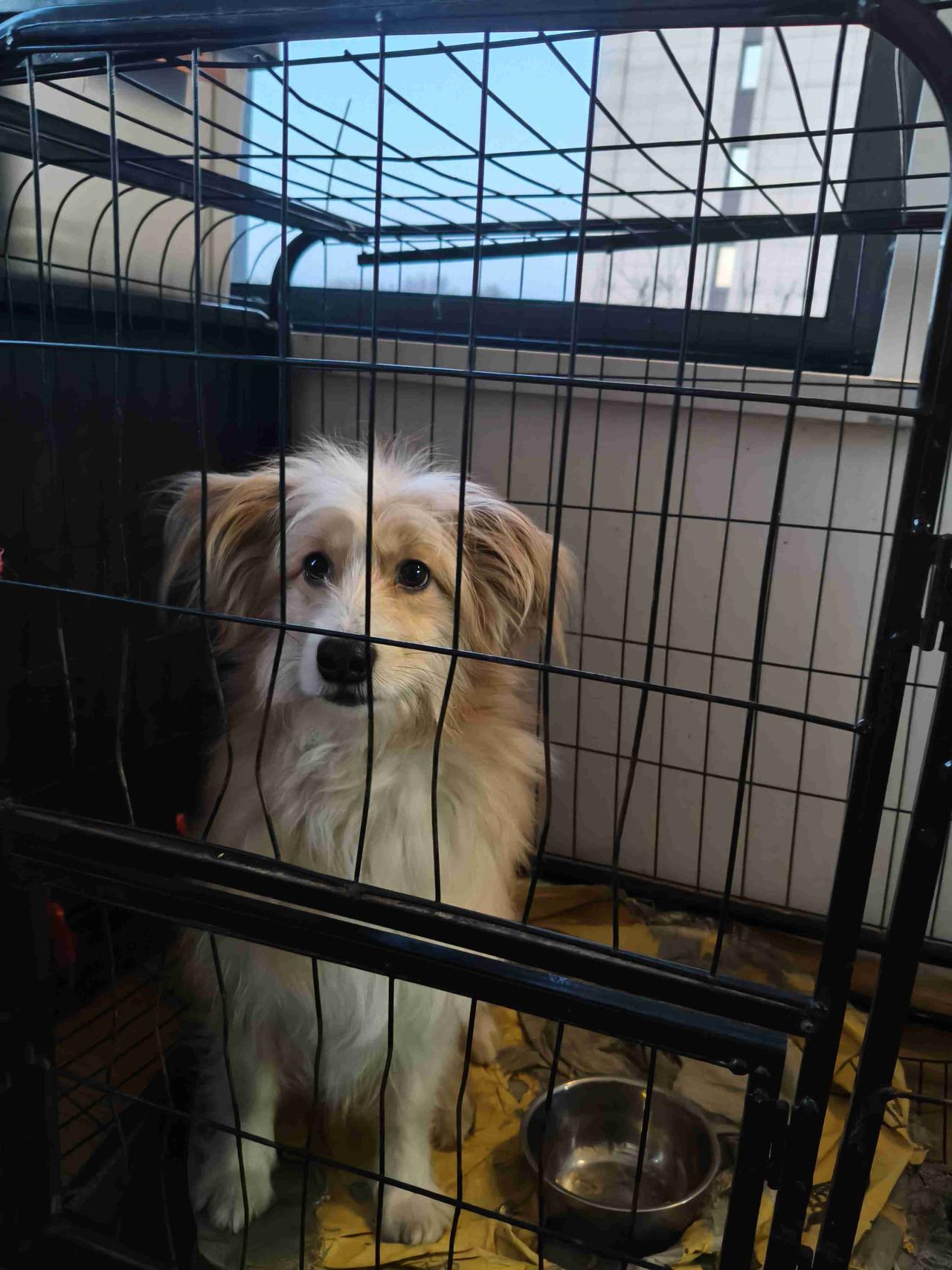 我的今日状态：😁轻松愉快
我这里的天气：☀️晴天