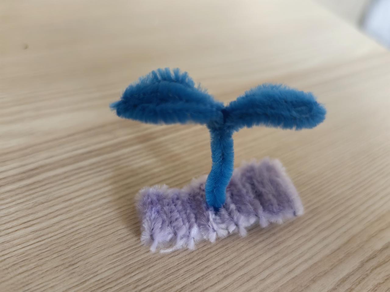 我用扭扭棒制作小花花
分享今日随手一拍