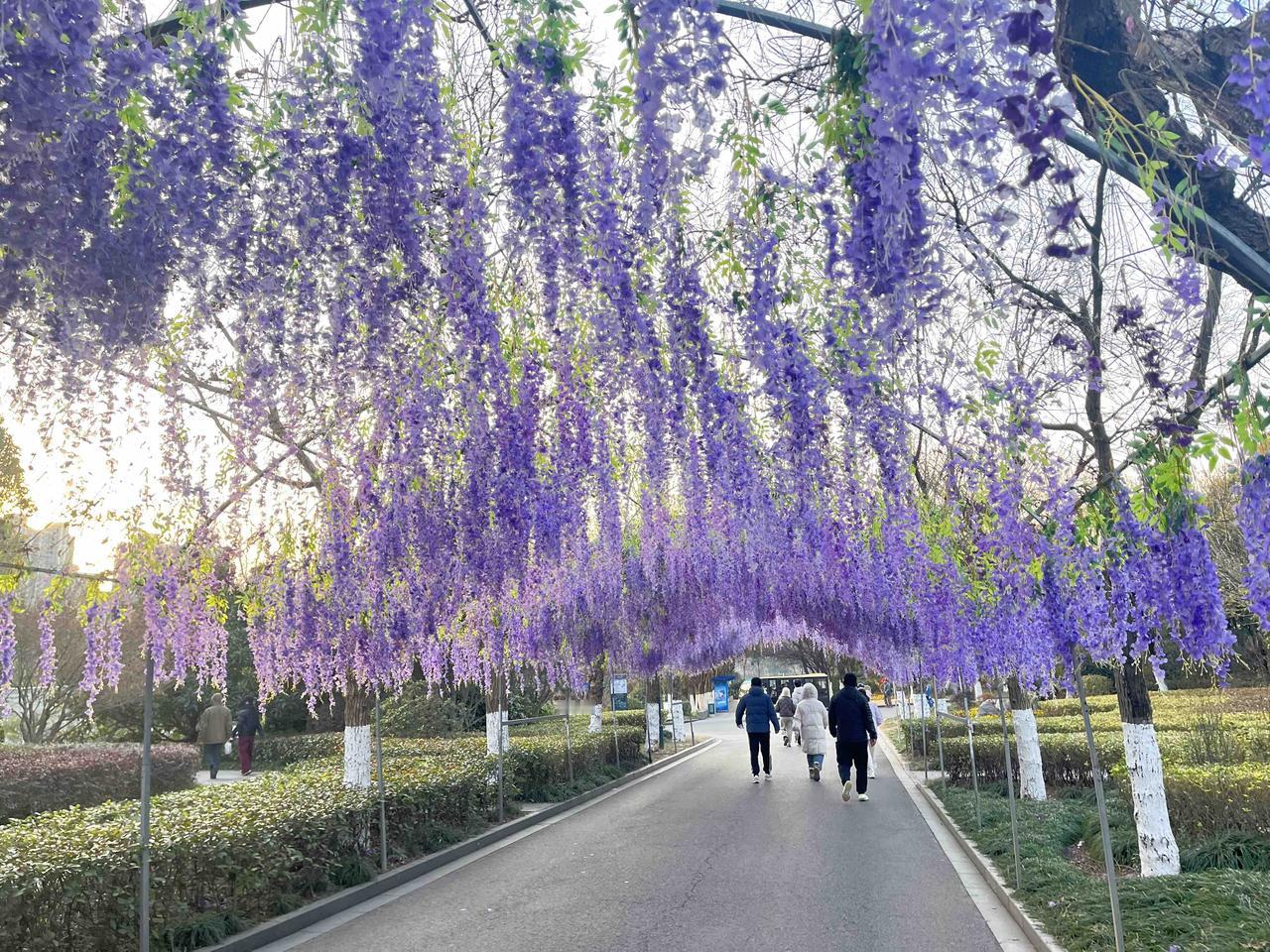 首先祝福大家，元旦快乐，今天是元旦节后，下周一市场会继续，节后市场会在机器人和商